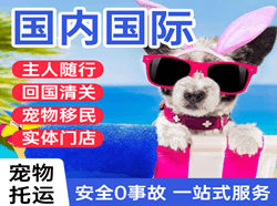 屯溪机场货运国际宠物托运 【国